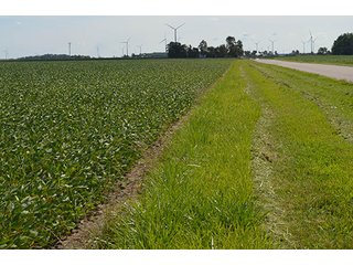 Property photo 11 - 233 +/- Acres Offered in 3 Tracts, Ohio Land Auction